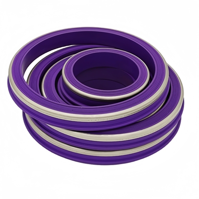 الزيت الأرجواني والحرارة والكيماويات المقاومة NBR HNBR FKM PTFE مطرقة اتحاد الختم مع الوقود المقاوم للصدأ