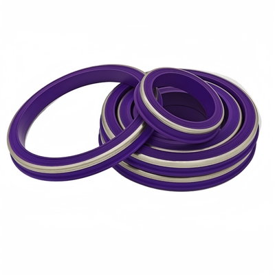 الزيت الأرجواني والحرارة والكيماويات المقاومة NBR HNBR FKM PTFE مطرقة اتحاد الختم مع الوقود المقاوم للصدأ