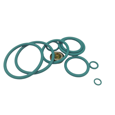 OEM ODM NO.20 كيت رأس إطلاق النار NBR FKM EPDM HNBR كيت إصلاح