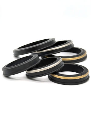 ختم وصلة مطرقة عالي الأداء مع شكل 1502 602 206، نطاق درجة الحرارة -200 درجة مئوية إلى 250 درجة مئوية، ومقاومة ضغط 15000 رطل لكل بوصة مربعة