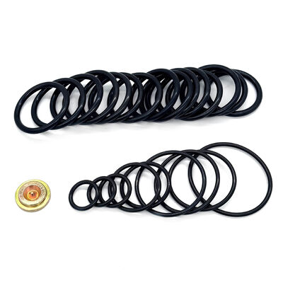 15،000 PSI حزمة التعبئة لأداة تعيين الضغط # 10 - مجموعة إصلاح متوافقة مع النفط الخام مع مجموعات محولات الأسلاك (WAK)