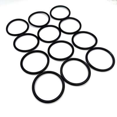Flexible 70 Shore HSN Elastomer O-Rings for Downhole Drilling Equipment