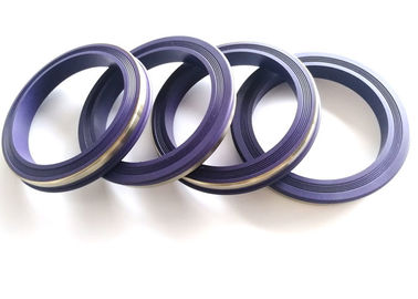 الأختام المطرقة الاتحاد المطاط ، NBR / بونا الشفاه ختم ISO9001 شهادة